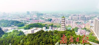 桔红玉翠美丽四会