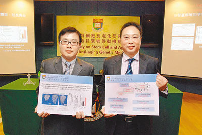 香港大学揭开抗衰老之谜望10年内推新药以延寿