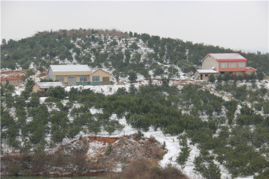 石门县天鹅山园艺场移民开发15年“移”出致富奇迹