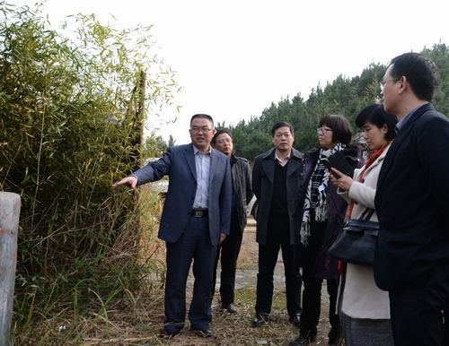 正文 专家组在莲花乡实地查看 红网新田站2月25日讯(分站记者 贺