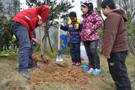 (2012年植树节活动剪影)