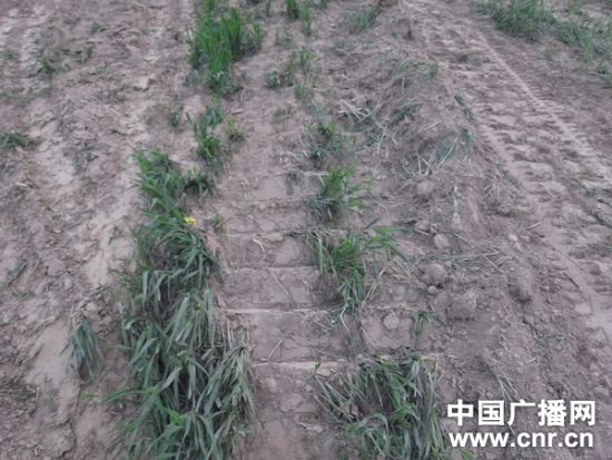 淮滨有多少人口_淮滨县长曾辉的老公(3)