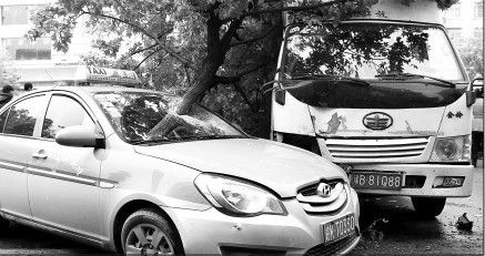 货车“拔”大树插进出租车阜阳发生一起离奇车祸