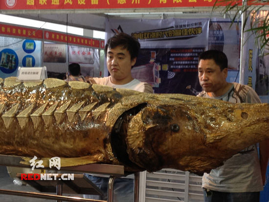 第五届中国湖南畜牧渔业暨饲料工业博览会开展