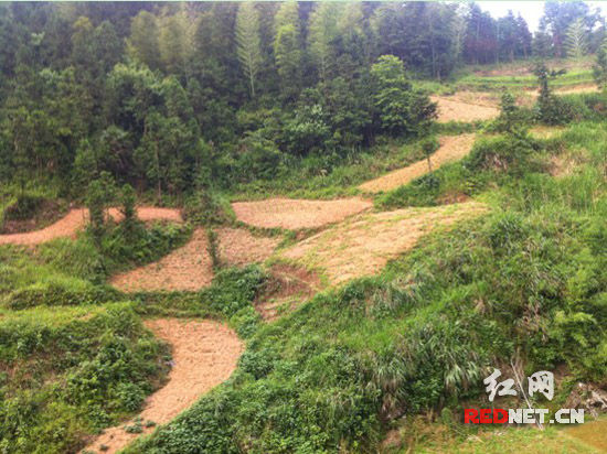 芒果v基金助力新化县炉观镇李家湾村医疗卫生建设