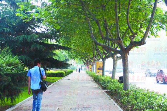 宁波公共自行车_宁波人均公共绿地(2)