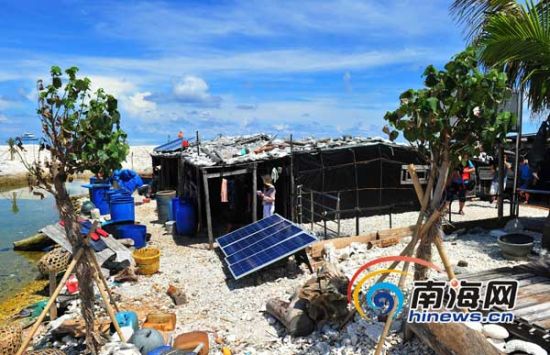 三沙鸭公岛渔民:用水用电不难 捕鱼种树都不落_新浪新闻