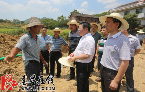 罗玲玲)7日,娄星区委副书记,区长黄大生顶着炎炎烈日到杉山镇木山村