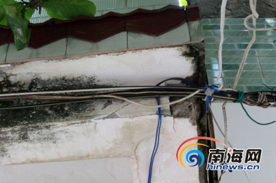 洋浦男子推搅拌机触碰电线被电死多部门调查