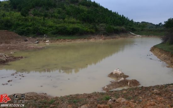 新田县有多少人口_新田县中医院(2)