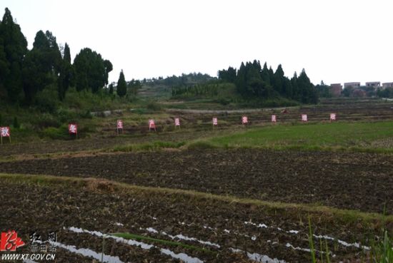 新田县有多少人口_新田县中医院(2)