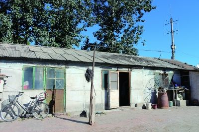 通州村官盖豪华獒园 系违建 永顺镇焦王庄村村