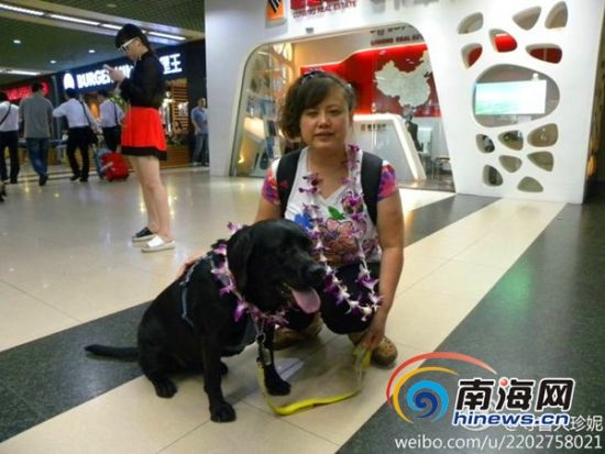 海航建立导盲犬数据库 方便“导盲犬珍妮”等乘机_新浪新闻