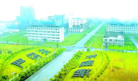 向青山绿水要效益 南川探索特色工业之路