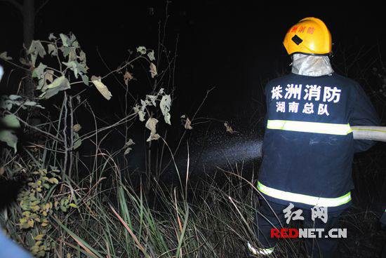 莲易高速白关出口绿化带起火 疑因路人丢烟头