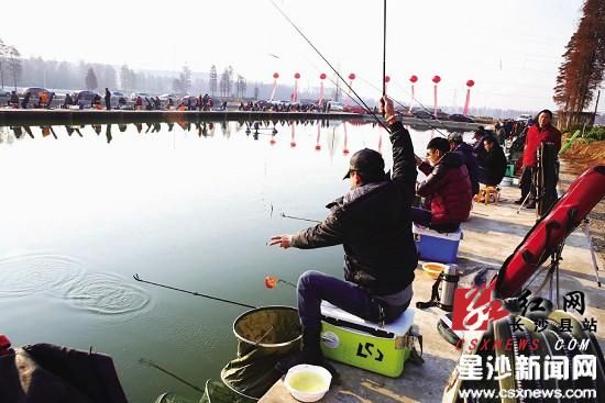 长沙县2013年首届钓鱼比赛在农大竞技池开赛