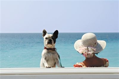 法国蔚蓝海岸双城记