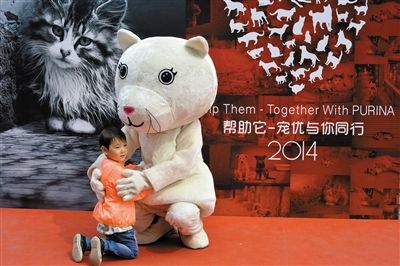 拥抱卡通狗关注流浪动物
