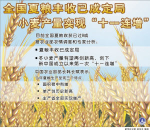 小麦产量“十一连增”品质也挺好