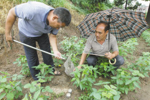不管什么天儿 水位每天测