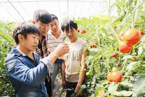 在校大学生自主创业显身手