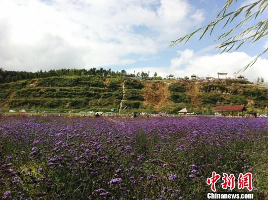 贵州威宁:用原生态的美丽感动游客