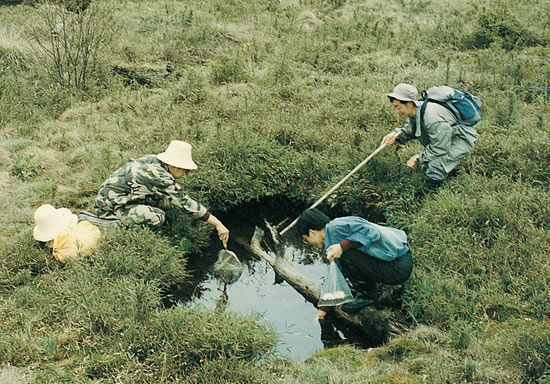追两栖动物的人_新浪新闻