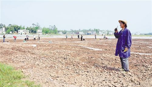 农民种菜用上对讲机_新浪新闻