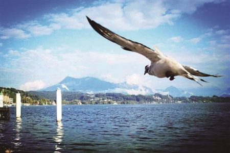 重庆农商行 旅游免费享,美拍达人赢大奖 吸引过