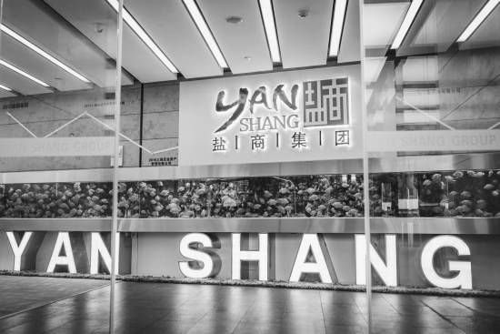 转型,与时代共同奔跑的盐商集团