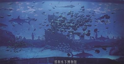 和去的“傢”在江心洲也能看到再萬朝能拍海底婚炤