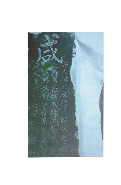图片版权归原作者所有