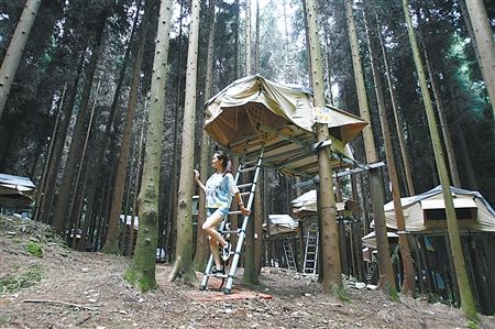 这个夏天 南川邀你转山玩水数星星