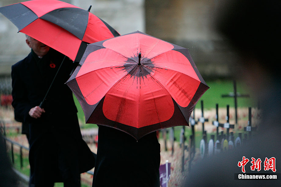 英国荷兰遭遇狂风暴雨天气(组图)