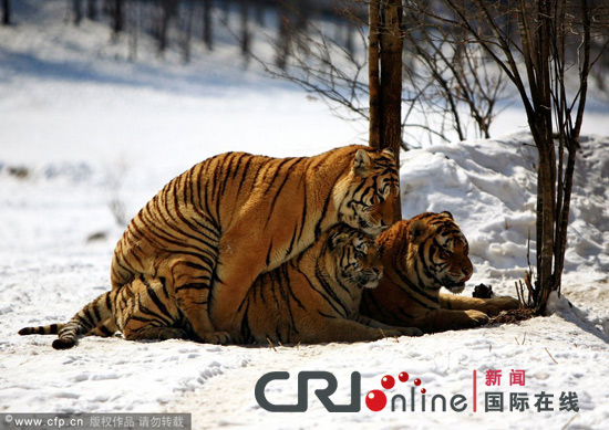 图片报道:绿色中国·野生动物保护