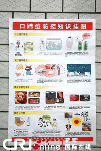 中国动物疫病防控有“利器”(组图)
