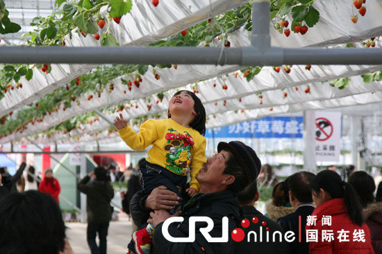 外商布展世界草莓大会 看好中国市场前景(组图
