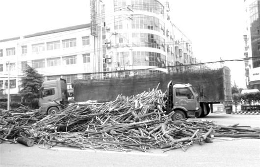 ͼ�ģ���������ľ��ȫɢ����Ħ�г���Ů���ҵ����޴�