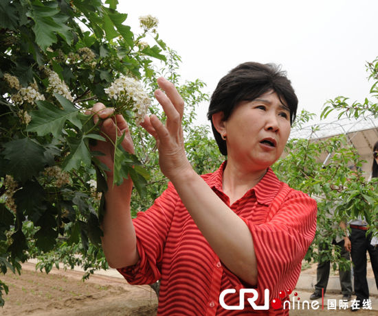 郊区田园-蓬勃发展中的北京假日农场休闲农业