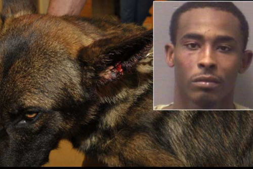 �������Ӿܲ�ҧ�˾�Ȯ�¹����䱻��12��(ͼ)