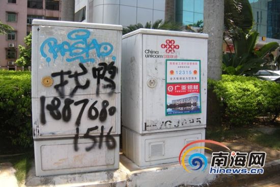 海口海府路、琼台师范附近惊现<em>招鸭</em>广告[图]