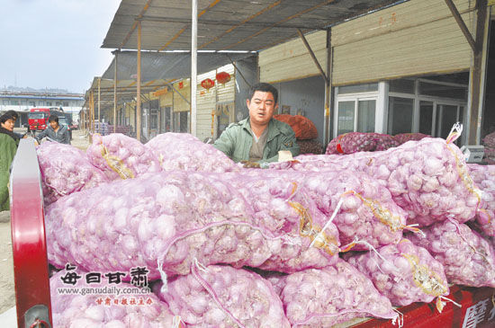 兰州:大蒜价格因惜售炒作翻倍上涨 红皮蒜12