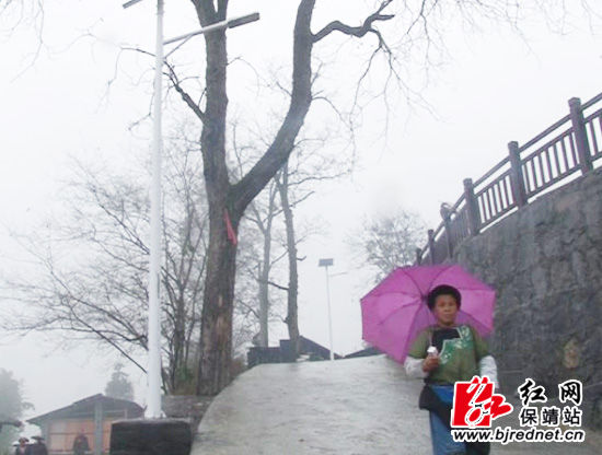 保靖县边远山村点亮太阳能路灯(组图)