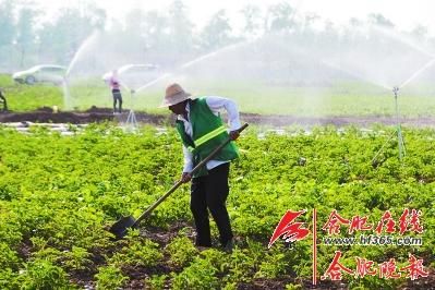 合肥推进生态农业（图）