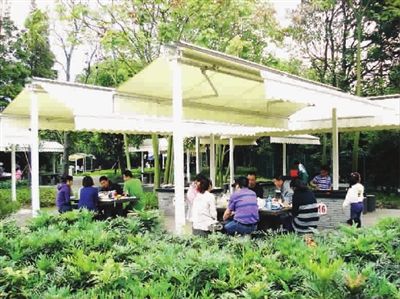 黑耳鸢(国家2级保护动物) ● 官方微博:"@上海滨江森林公园"