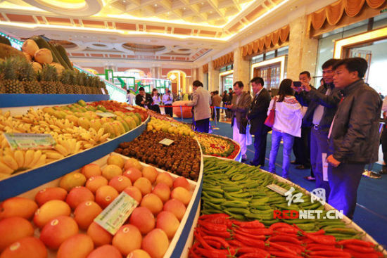 2013海南冬交会开幕 网上卖瓜菜成亮点(组图)