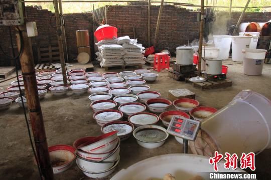 广铁警方破获特大制贩毒案 缴获麻黄碱逾1吨(