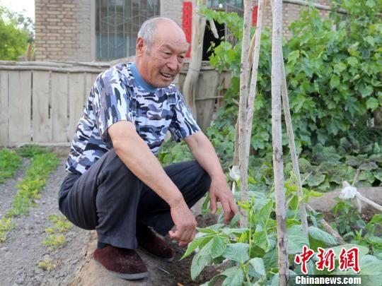 从东南到西北 73岁老兵扎根新疆兵团50年(图)