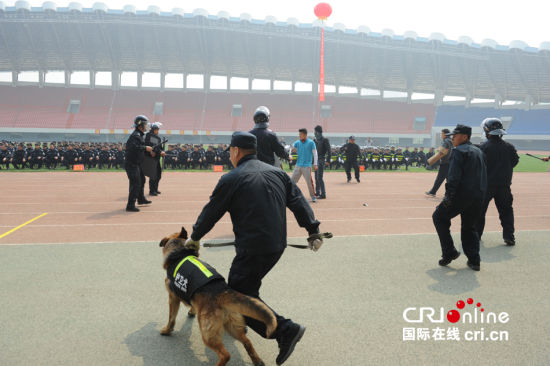 迁安警方举行“警务实战春季整训”汇报演练活动(组图)