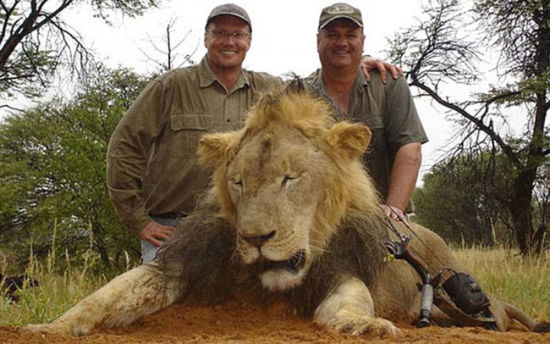 美国牙医猎杀非洲狮王遭通缉 或面临15年监禁